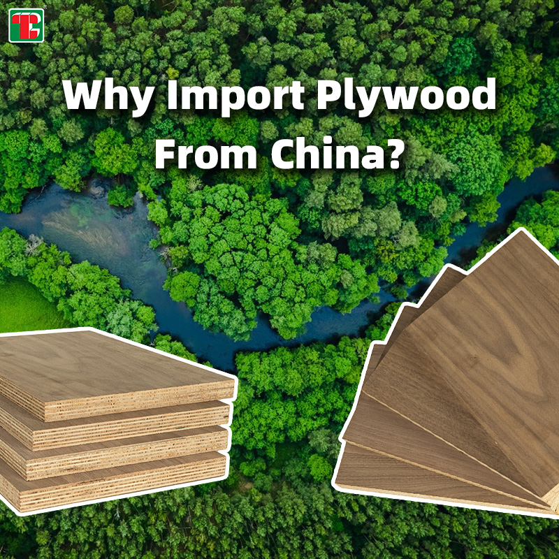 https://www.tlplywood.com/news/eucalyptus-plywood-vs-birch-kompensatë/