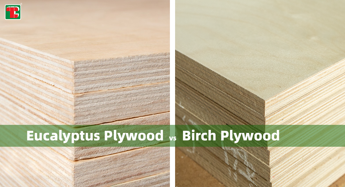 Eucalyptus ទល់នឹង Birch Plywood