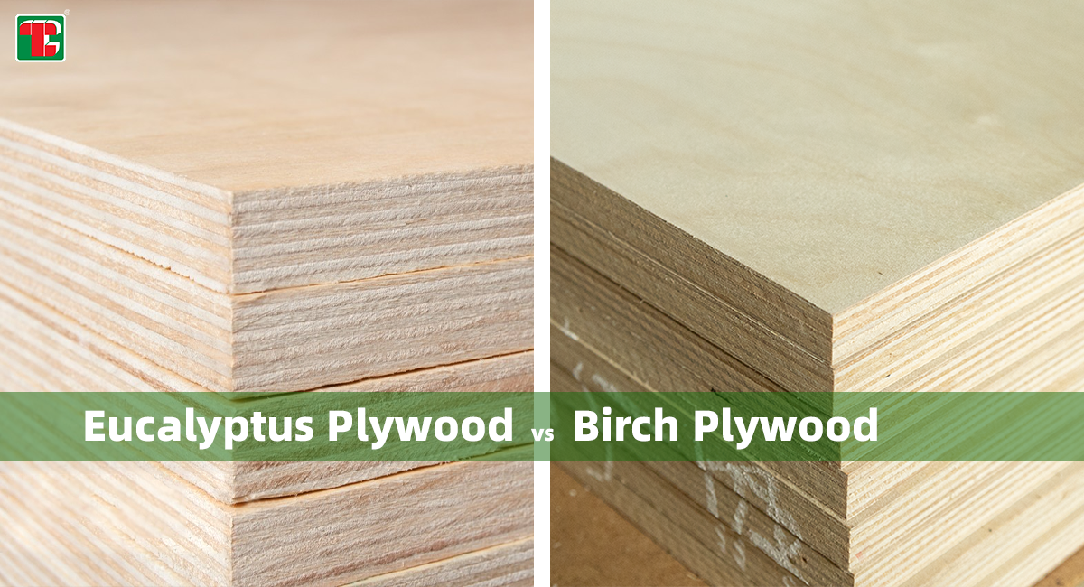 Eucalyptus vs. Birch Laaghout