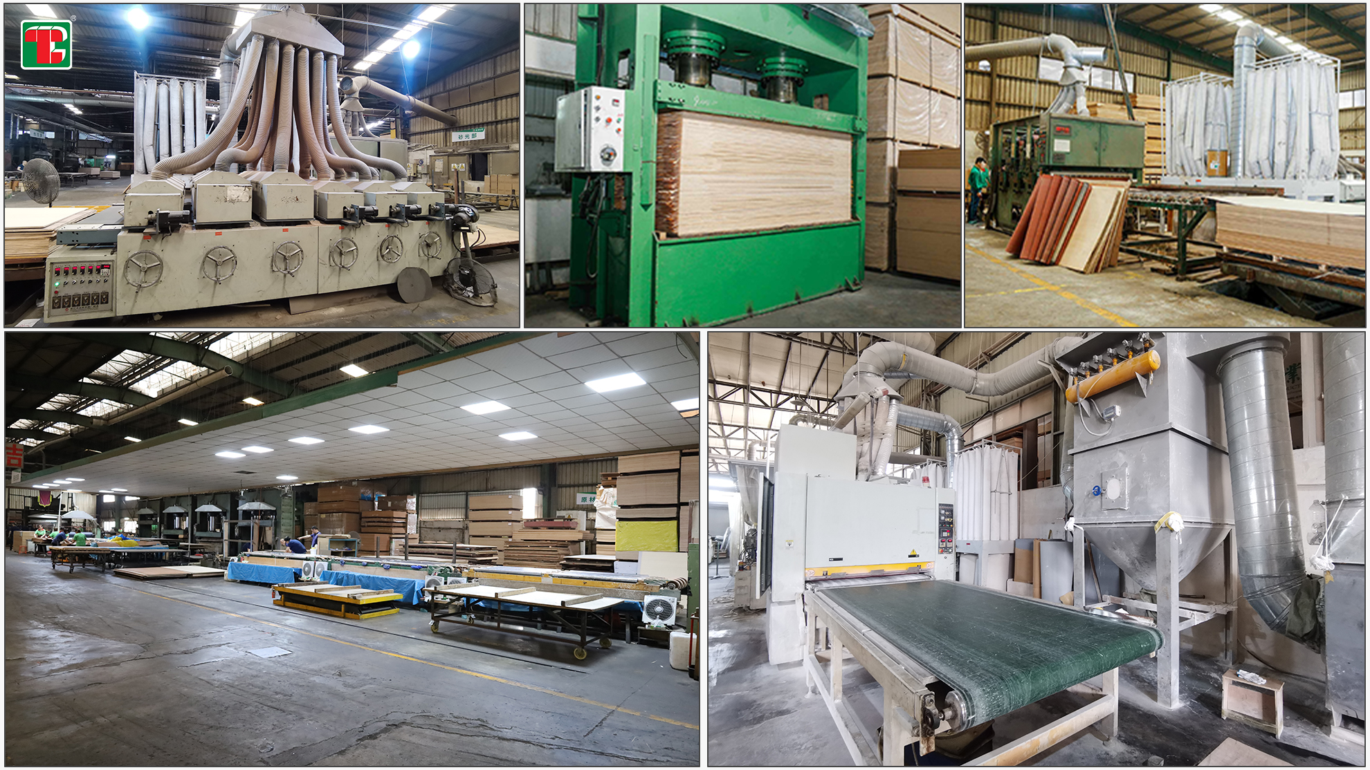 Equipment for the production of veneer plywood